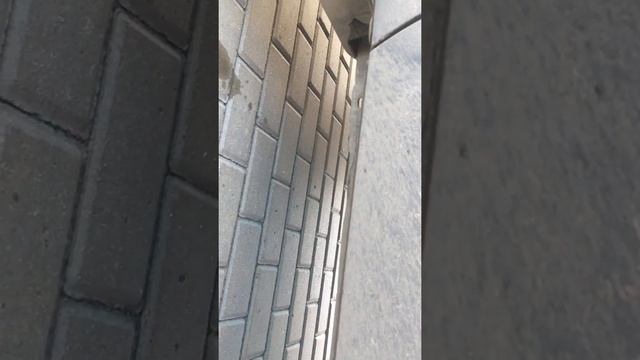 Свист на холостых оборотах Каптюр