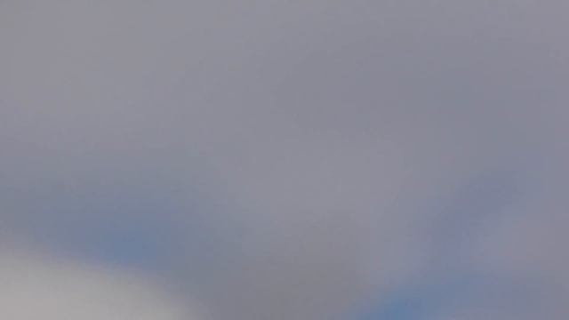 Голуби разных пород в моём хозяйстве. смотреть онлайн