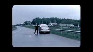 Юлия Панова "Перелетные птицы"