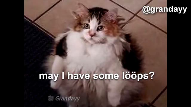 Bong bong bong cat смотреть онлайн