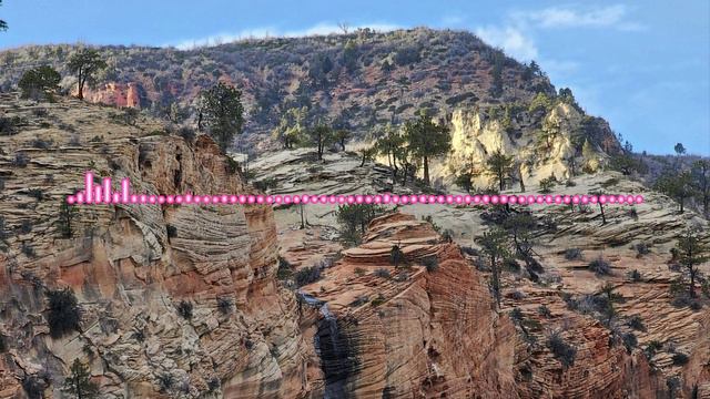 Динара Магомедова - НОВАЯ ВОСТОЧНАЯ 2024 смотреть онлайн