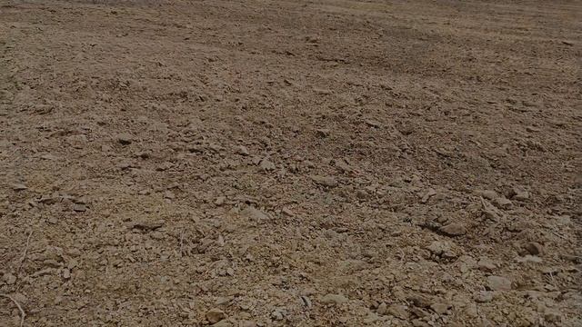 ВТОРОЙ ДЕНЬ НА УРОЧИЩЕ ПОД СЕРГИЕВО ПОСАДОМ, ПЫЛЕСОСИМ РАСПАШКУ смотреть онлайн