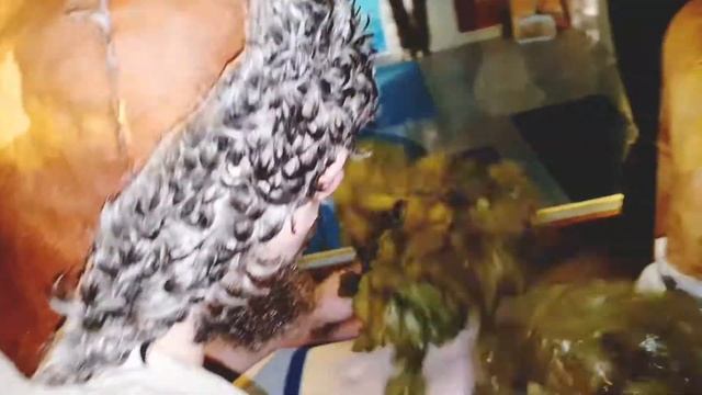 Парстудия "Баня-Ваня" в отеле Foresta Festival Park смотреть онлайн