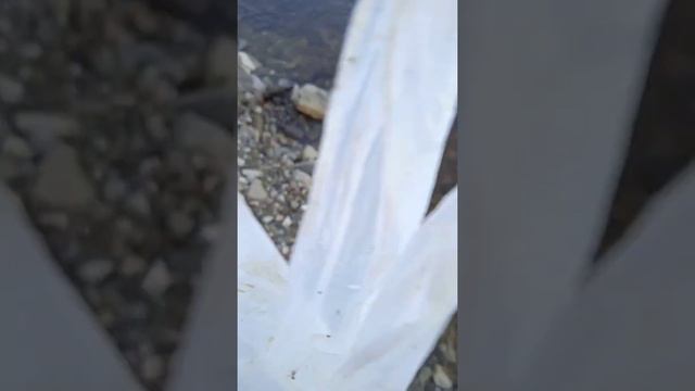 дарёи лена дар шахри Якутия смотреть онлайн