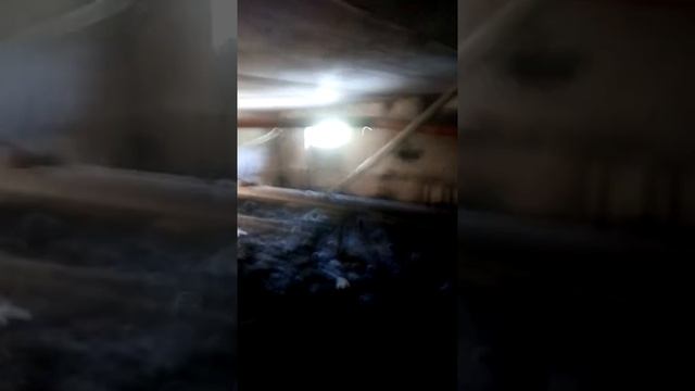 Как работают в подвалах домов в городе томари смотреть онлайн