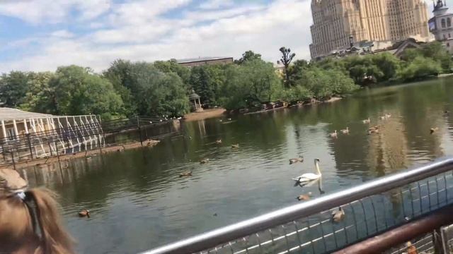 Все Крытые Животные во 2 Части#зоопарк #москва #путешествия смотреть онлайн