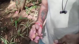 Гоа: вся правда о главном курорте Индии | Гоа-2023