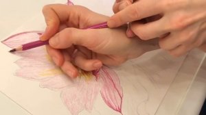 Как нарисовать цветы.Лотос.Цветными карандашами.Пошагово.Для Начинающих. Рисуем с подростком с дцп
