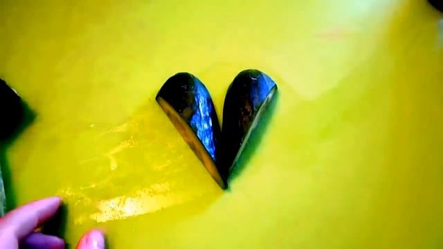 Зимний отдых на каникулах: идеи для развлечений