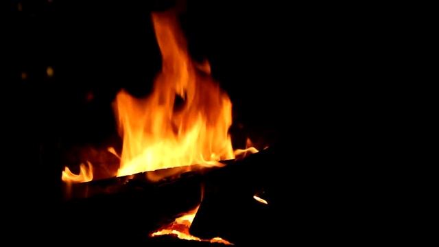 Canon EOS 7D, тест видеорежима / Canon EOS 7D video test смотреть онлайн