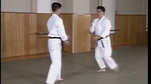 Yokomen Uchi Shihonage (2)_01.mpg