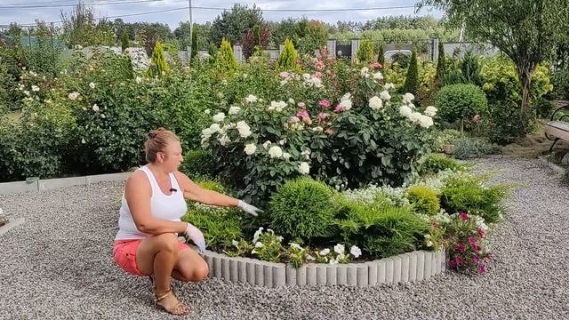 5 видов бордюр в моем саду | Бордюры для клумб смотреть онлайн
