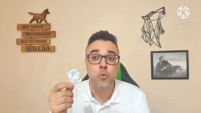 COMO ACABAR COM PULGAS E CARRAPATOS! TESTADO NA PRÁTICA! ✅Nexgard funciona? Cachorro Pulga Carrapat смотреть онлайн