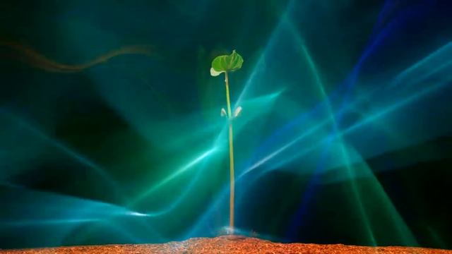 ★MANIFEST YOUR SOULMATE INSTANTLY ★ 21 DAYS MAGIC Manifestation While You Sleep![Extremely Powerful