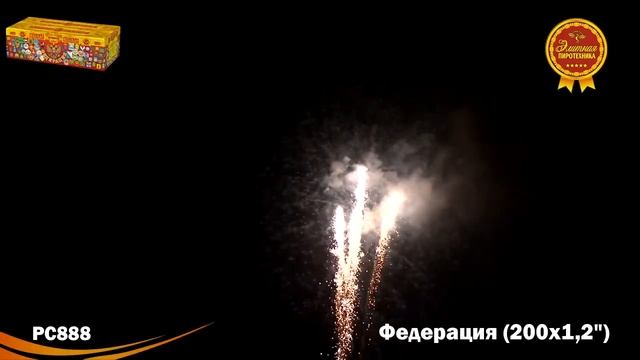 РС888 Салют "Федерация" смотреть онлайн