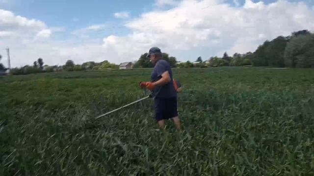 Уход за часником смотреть онлайн