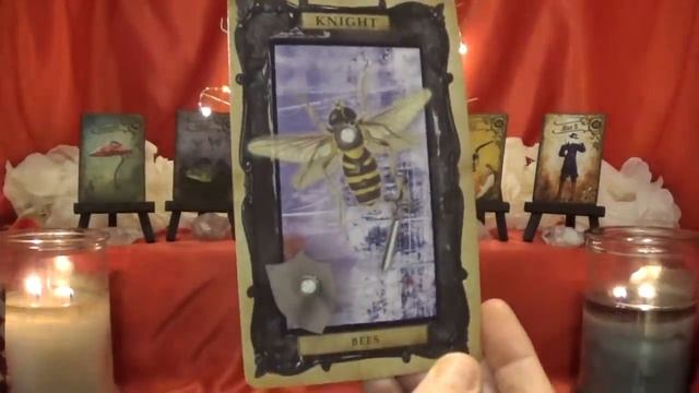 Cancer ~ Working Out Better Than Expected! ~ Weekly Tarotscope Feb 10th - 16th смотреть онлайн