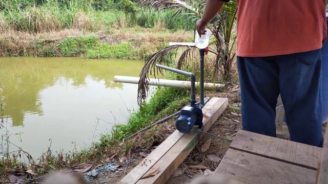 water pump cpm158 1hp смотреть онлайн