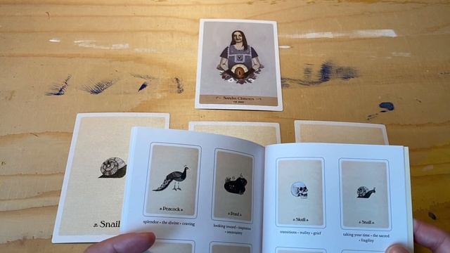 about books and cards | literary witches book and oracle смотреть онлайн