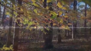 Музыка Татьяны Снежиной. Последний день осени.