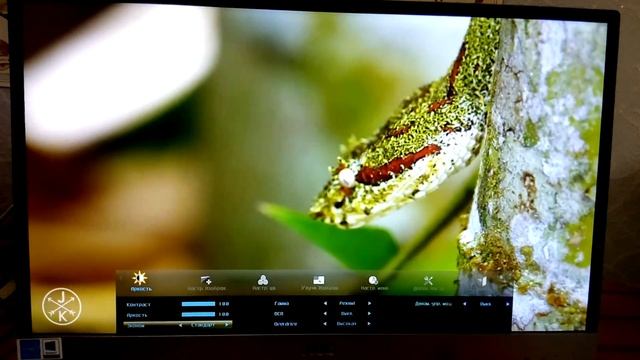AOC i2269VWM. Самый дешевый IPS монитор! Full HD 60 Hz. Разгон до 75 Hz! смотреть онлайн