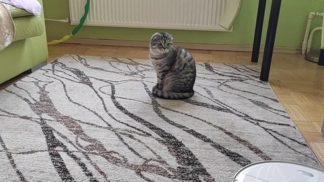 Xiaomi Roborock S5 Max. ШОК. ? Робот пылесос помощник в доме?!