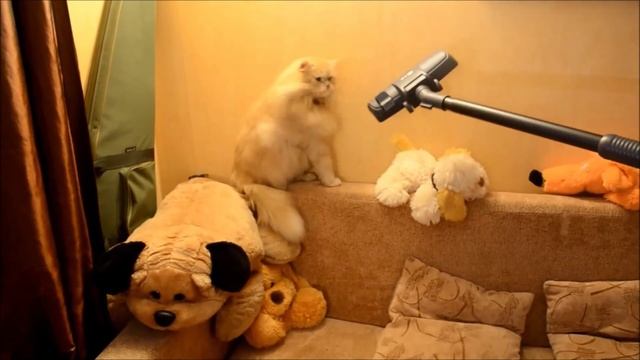 КОТ И ПЫЛЕСОС смотреть онлайн