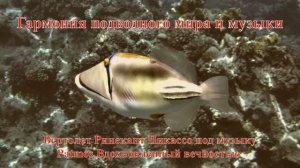 14. Вертолет Ринекант Пикассо под музыку Patmos Вдохновленный вечностью
