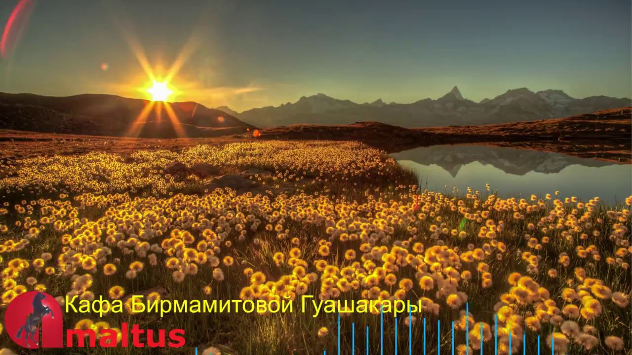 Кафа Бирмамитовой Гуашакары смотреть онлайн