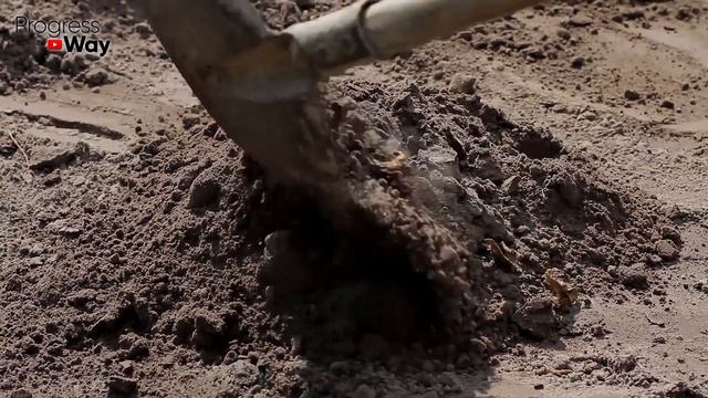 ОПЯТЬ МУРАВЬИ? ЗАБУДЬТЕ О НИХ НАВСЕГДА! смотреть онлайн