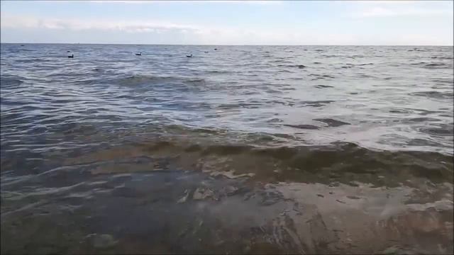 Осеннее море смотреть онлайн