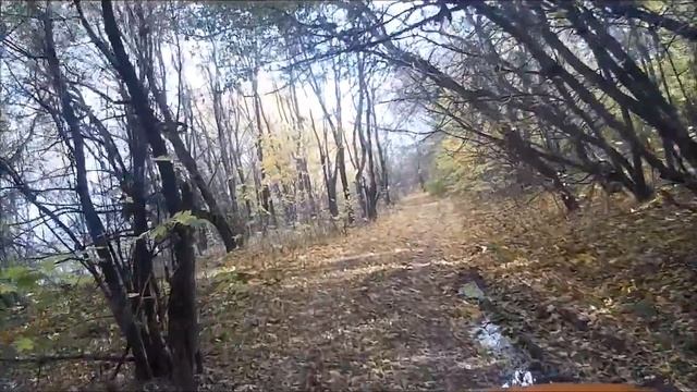 Старомайнский залив Ульяновкая область смотреть онлайн