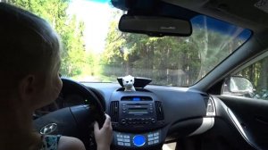 Лиза в пять лет сама едет за рулем машины