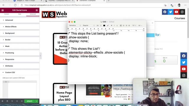 Hide and Unhide a Fixed Social Icon List with Elementor & CSS смотреть онлайн