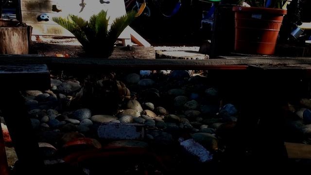 Trackmaster Duncan Gets Spooked By DFletcher смотреть онлайн