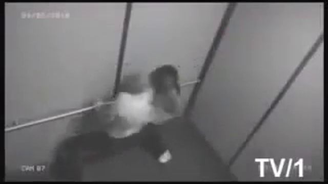 Не ожидали скрытую камеру прикол смотреть онлайн