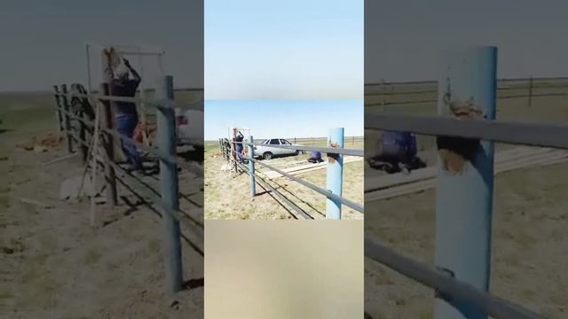 Палласовка, хутор Сапунки смотреть онлайн