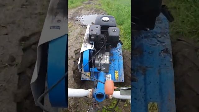 Возим картошку на мотоблоке Нева МБ-2 смотреть онлайн