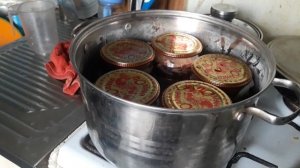 ДОМАШНЯЯ ТУШЕНКА ИЗ ГУСЯ (2 ЧАСТЬ)