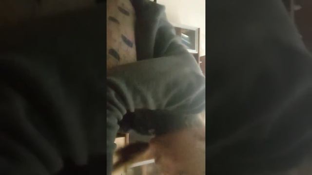 чертёж новой дачи ура! смотреть онлайн