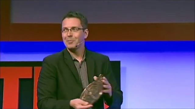 Astrolabe TW en short смотреть онлайн