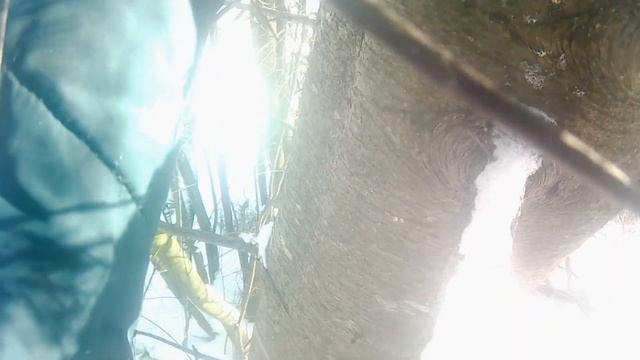 ездели за пихтой как вам? не могу завести мотосабаку