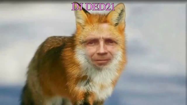 Фиаско невидимки или поменял пол в анекдотах с DJ DED21 от 5 октября 2021 смотреть онлайн
