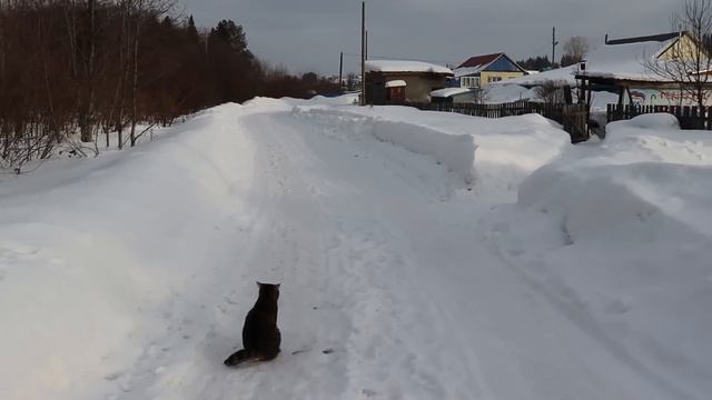 Сдвинул очередную гору снега! смотреть онлайн