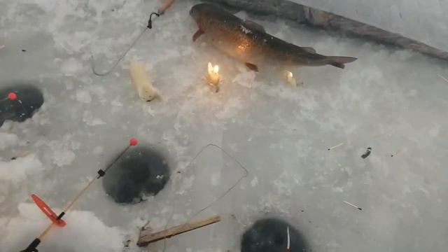 1 января 2023 г. смотреть онлайн