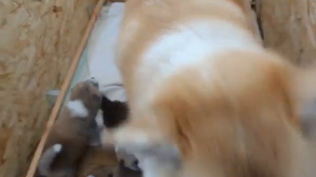 LITTER "Т" (16.05.2015) - часть 8 смотреть онлайн