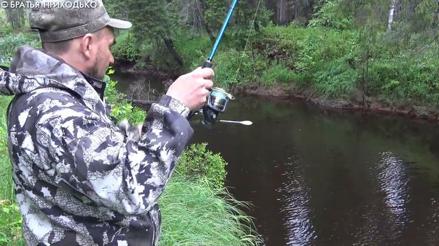 УНИКАЛЬНЫЕ КАДРЫ АТАК ХАРИУСА НА ТАЕЖНОЙ РЕКЕ смотреть онлайн