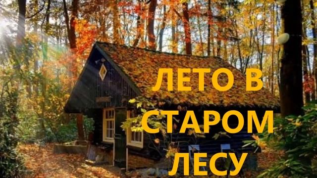 Пение птиц в летнем лесу, кукушка и другие лесные обитатели. смотреть онлайн