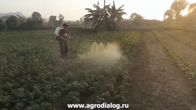 Бензиновый опрыскиватель Solo 434 смотреть онлайн