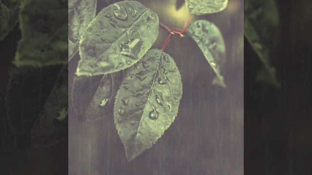 Видения (Работающий) смотреть онлайн